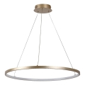 Rabalux - LED-люстра на тросе LED/55 Вт/230 В 3000 К