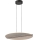 Rabalux - LED-люстра на тросі LED/24W/230V 3000K