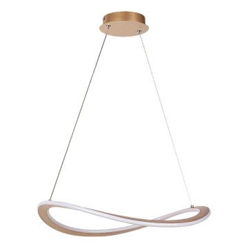 Rabalux - LED люстра на тросі LED/40W/230V 3000K