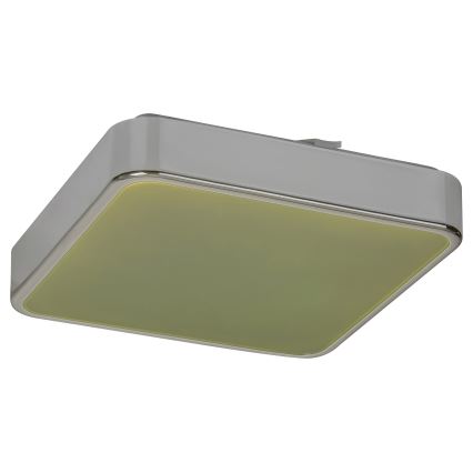 Rabalux - LED RGB Стельовий світильник для ванної з регулюванням яскравості LED/22W/230V IP44 + ДК