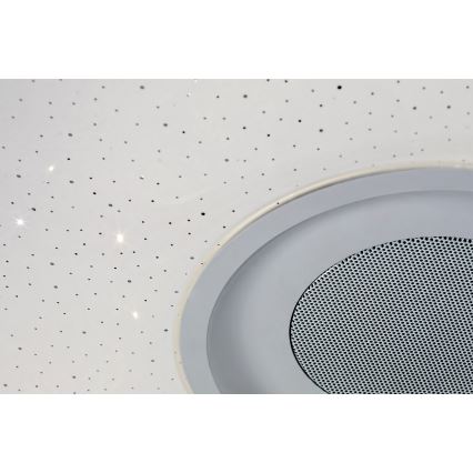 Rabalux - LED RGB Стельовий світильник з динаміком та регулюванням яскравості LED/18W/230V + ДК 3000-6000K Bluetooth