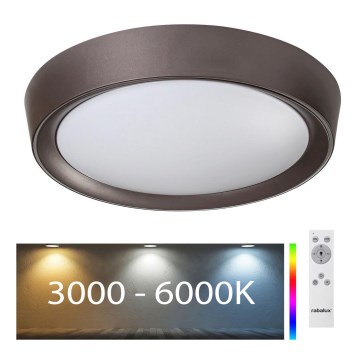 Rabalux - LED RGB Стельовий світильник з регулюванням яскравості LED/24W/230V + ДК 3000-6000K