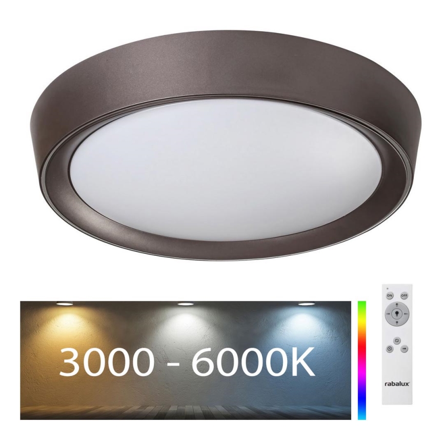 Rabalux - LED RGB Стельовий світильник з регулюванням яскравості LED/24W/230V + ДК 3000-6000K