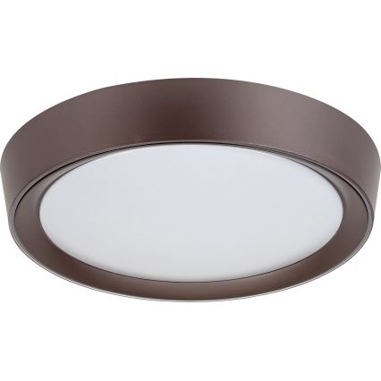 Rabalux - LED RGB Стельовий світильник з регулюванням яскравості LED/24W/230V + ДК 3000-6000K