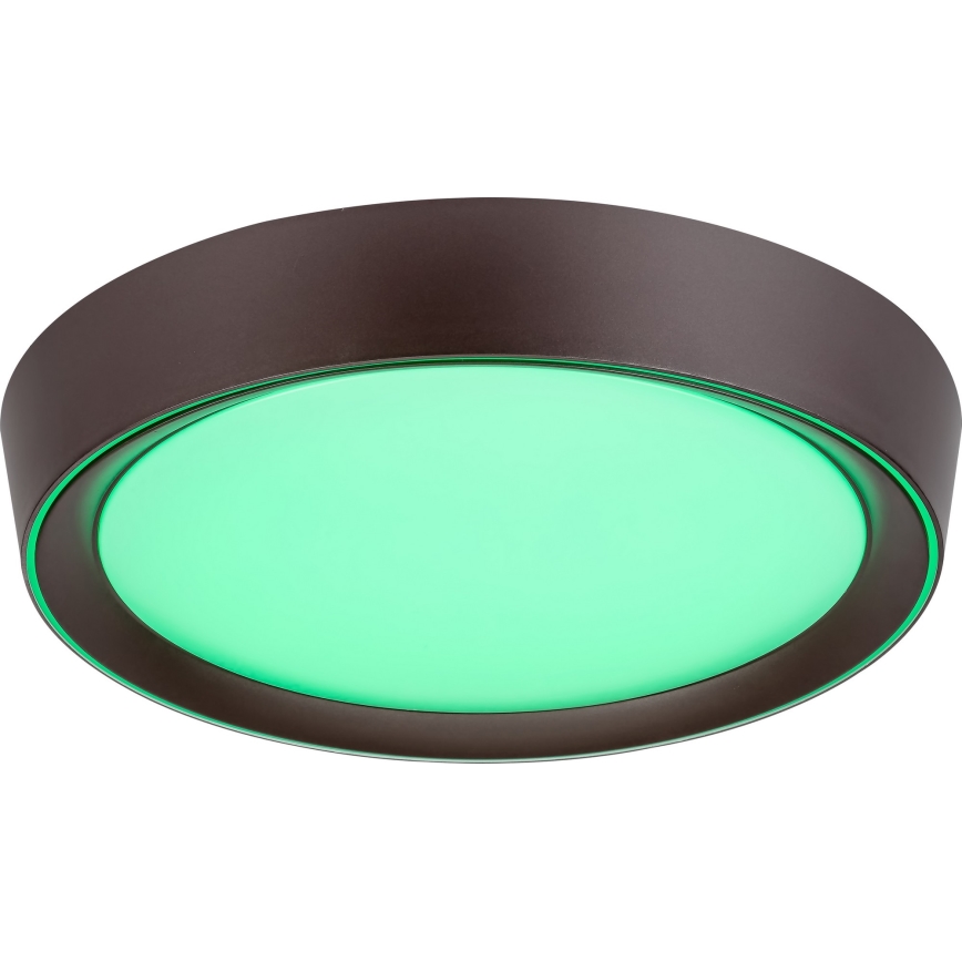 Rabalux - LED RGB Стельовий світильник з регулюванням яскравості LED/24W/230V + ДК 3000-6000K