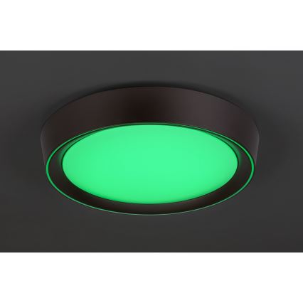 Rabalux - LED RGB Стельовий світильник з регулюванням яскравості LED/24W/230V + ДК 3000-6000K