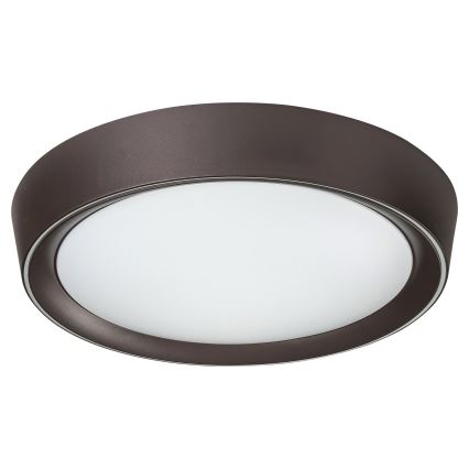 Rabalux - LED RGB Стельовий світильник з регулюванням яскравості LED/24W/230V + ДК 3000-6000K