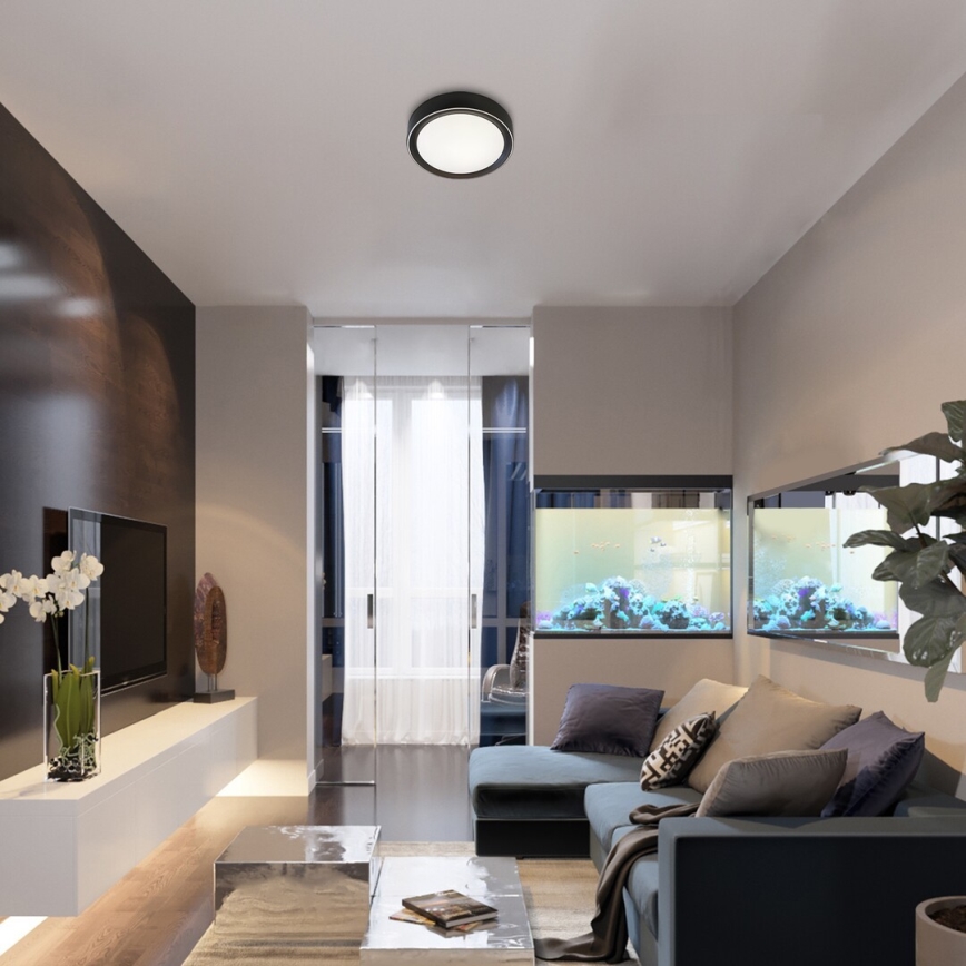 Rabalux - LED RGB Стельовий світильник з регулюванням яскравості LED/24W/230V + ДК 3000-6000K