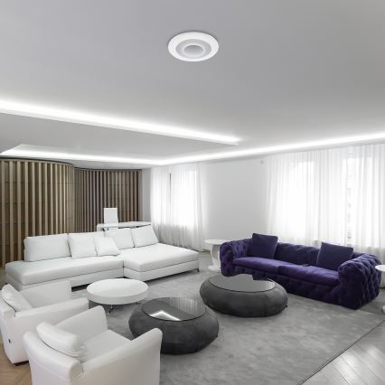 Rabalux - LED RGB Стельовий світильник з регулюванням яскравості LED/40W/230V 3000-6000K + пульт дистанційного керування