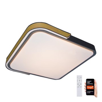 Rabalux - LED RGB стельовий світильник з регулюванням яскравості LED/48W/230V 3000K/4000K/6500K Wi-Fi Tuya + пульт дистанційного керування