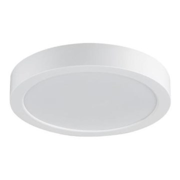 Rabalux - LED-стельовий світильник для ванної кімнати LED/24W/230V діам. 22 см IP44 білий