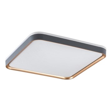 Rabalux - LED стельовий світильник LED/26W/230V 3000K 39,5x39,5 cm