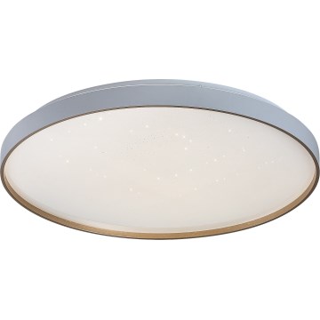 Rabalux - LED стельовий світильник з регулюванням яскравості LED/60 Вт/230 В 3000-6500 К діаметр 58 см + пульт дистанційного керування
