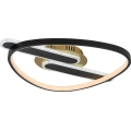 Rabalux - LED стельовий світильник з регулюванням яскравості LED/60W/230V 3000-6000K 53x45 см + пульт дистанційного керування