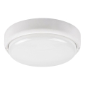 Rabalux - LED Зовнішній стельовий світильник LED/15W/230V IP54 білий