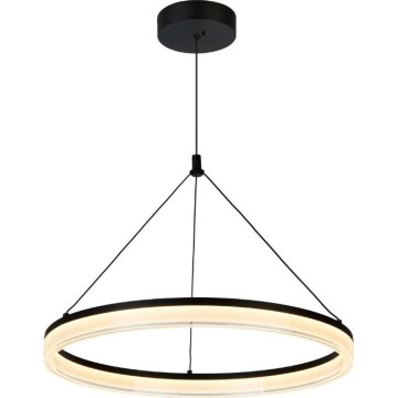 Rabalux - підвісна LED-люстра на тросі з регулюванням яскравості LED/24W/230V 3000-6500K + пульт дистанційного керування