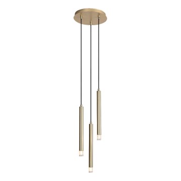 Rabalux - Подвесная люстра 3xG9/5W/230V золотистый
