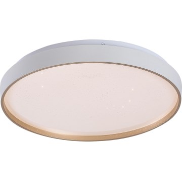 Rabalux - потолочный LED‑светильник, диммируемый, 34 Вт, 230 В, 3000-6500 К, диаметр 38 см, с пультом дистанционного управления