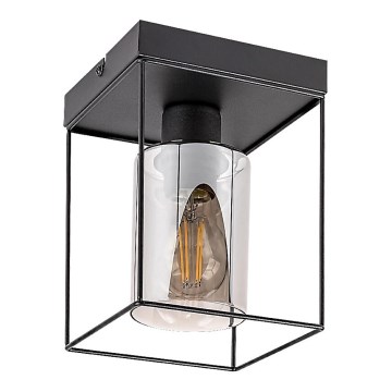 Rabalux - Потолочный светильник 1xE27/25W/230V 15x15 cm