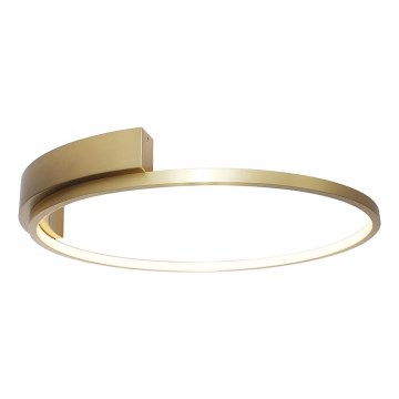 Rabalux - потолочный светильник LED/23W/230V диам. 42 см