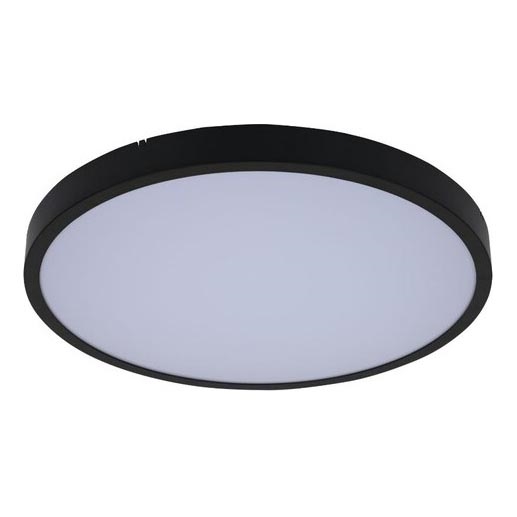 Rabalux - Стельовий LED світильник для ванної з регулюванням яскравості LED/36W/230V 3000-6000K IP44 діаметр 42 cm чорний + пульт дистанційного керування