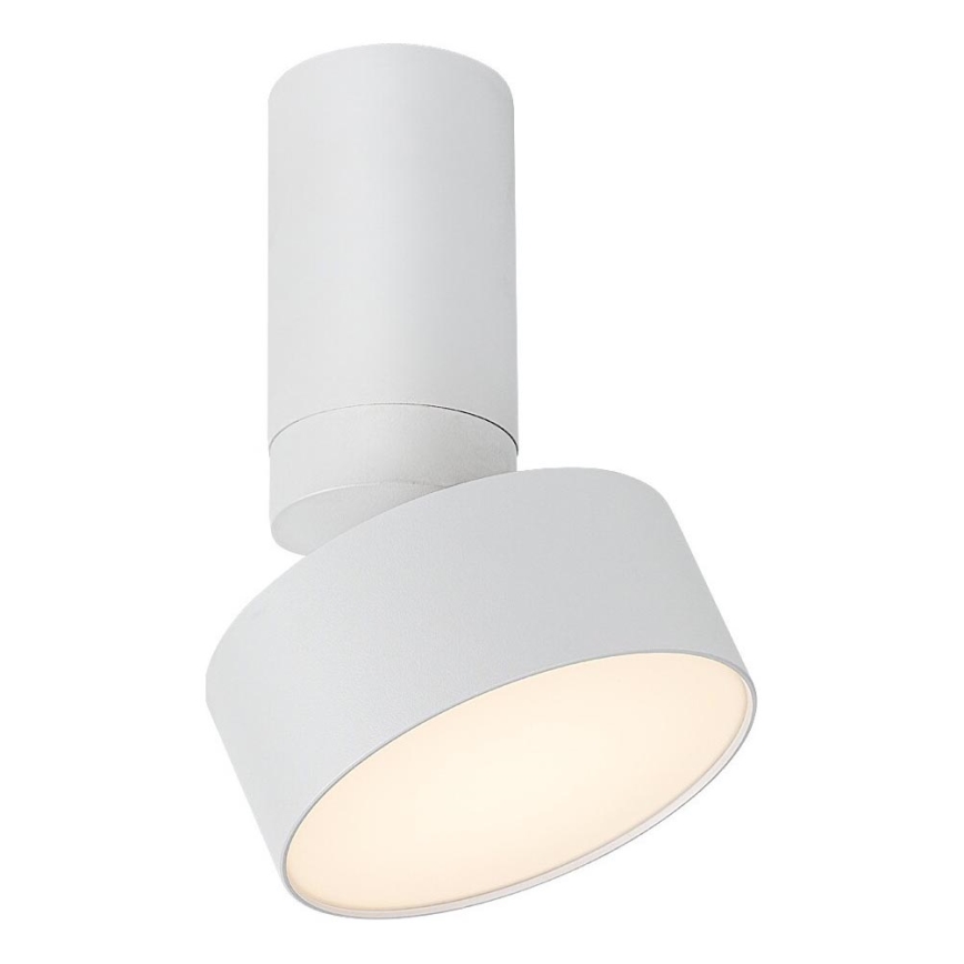 Rabalux - Стельовий LED світильник LED/10W/230V 3000K білий