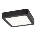 Rabalux - Стельовий LED світильник LED/15W/230V 3000K 16x16 см чорний