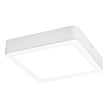 Rabalux - Стельовий LED світильник LED/15W/230V 4000K 16x16 см білий