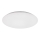 Rabalux - Стельовий LED світильник LED/18W/230V 4000K 28 см