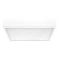 Rabalux - Стельовий LED світильник LED/22W/230V 3000/4000/6000K 21x21 см білий
