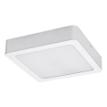 Rabalux - Стельовий LED світильник LED/24W/230V 3000K 22x22 см білий