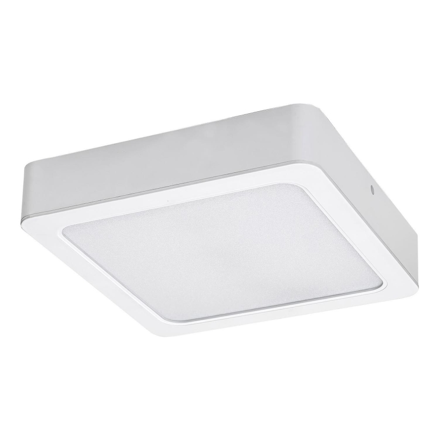 Rabalux - Стельовий LED світильник LED/24W/230V 3000K 22x22 см білий