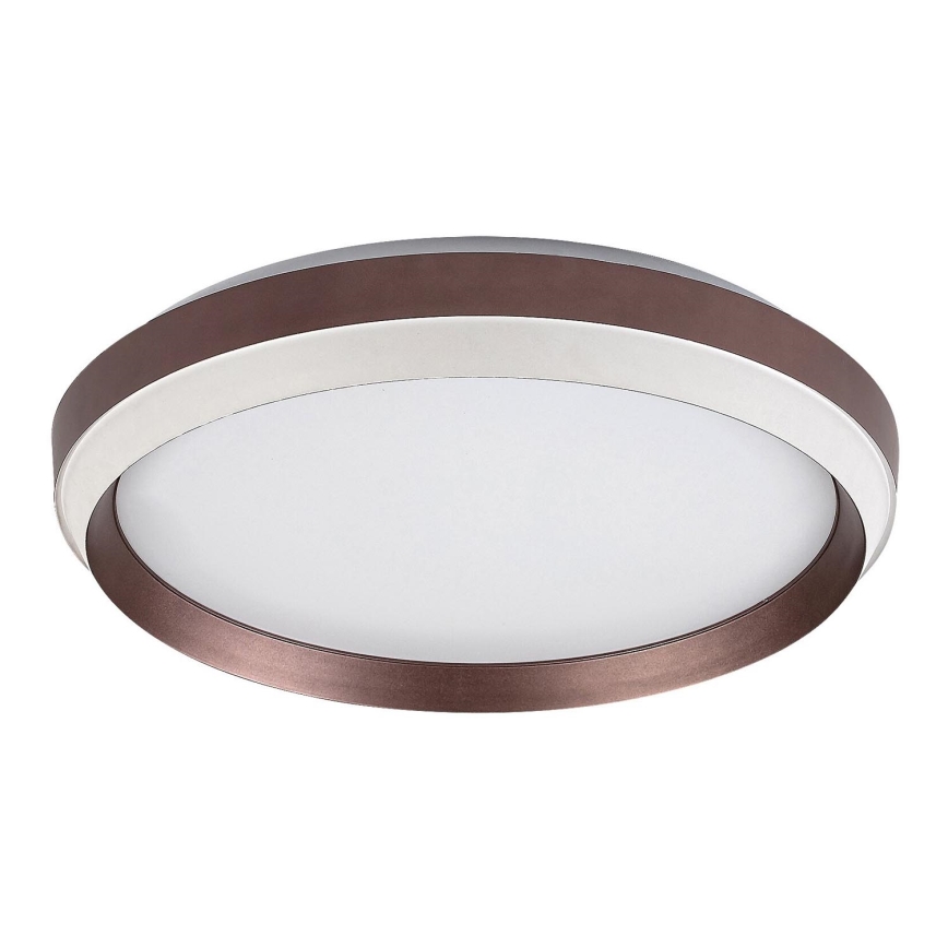 Rabalux - Стельовий LED світильник LED/24W/230V 3000K