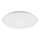 Rabalux - Стельовий LED світильник LED/24W/230V 4000K 38 см
