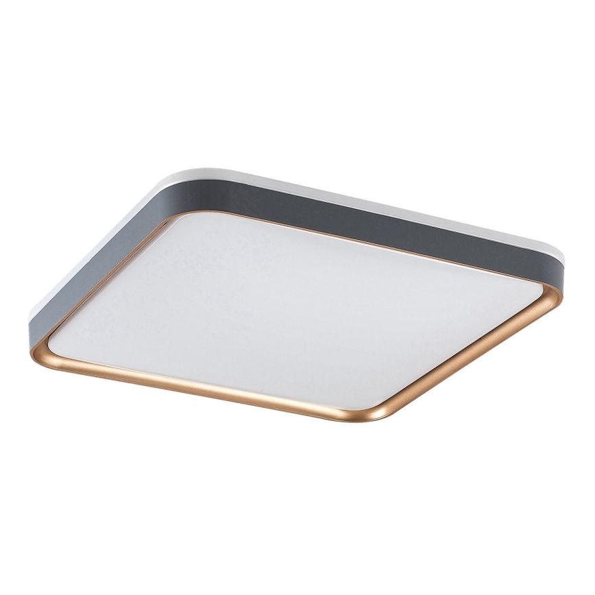 Rabalux - Стельовий LED світильник LED/26W/230V 3000K