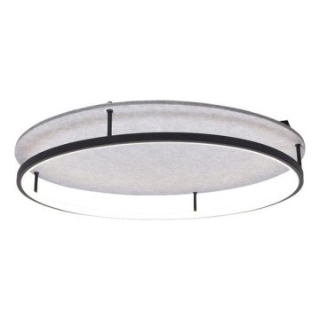 Rabalux - Стельовий LED світильник LED/40W/230V 3000/4000K
