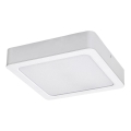 Rabalux - Стельовий LED світильник LED/7W/230V 3000K 12x12 см білий
