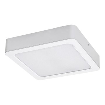 Rabalux - Стельовий LED світильник LED/7W/230V 3000K 12x12 см білий
