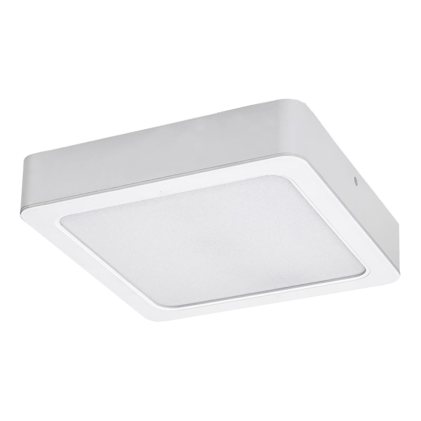 Rabalux - Стельовий LED світильник LED/7W/230V 3000K 12x12 см білий