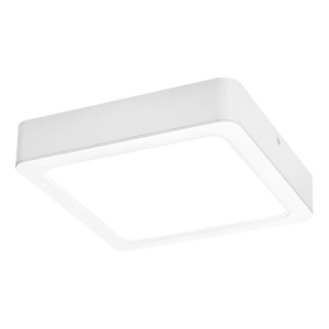 Rabalux - Стельовий LED світильник LED/7W/230V 4000K 12x12 см білий