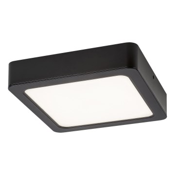 Rabalux - Стельовий LED світильник LED/7W/230V 4000K 12x12 см чорний