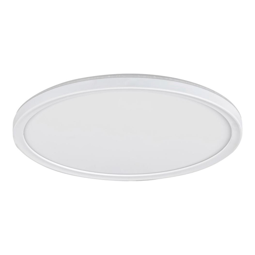 Rabalux - Стельовий LED світильник з регулюванням яскравості LED/22W/230V