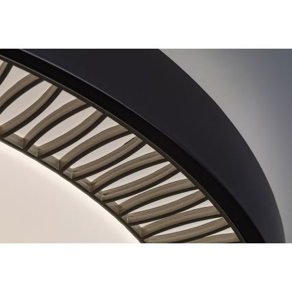 Rabalux - Стельовий LED світильник з регулюванням яскравості LED/40W/230V + ДК 3000-6000K