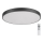 Rabalux - Стельовий LED світильник з регулюванням яскравості LED/60W/230V 60 см + ДК