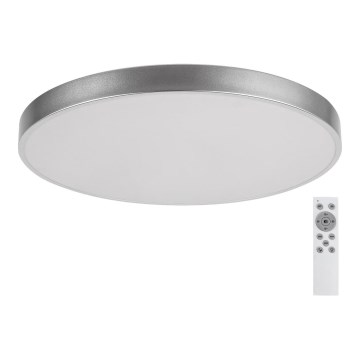 Rabalux - Стельовий LED світильник з регулюванням яскравості LED/60W/230V 60 см + ДК