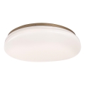 Rabalux - стельовий LED‑світильник для ванної кімнати, 24 Вт/230 В, IP44, діаметр 41 см