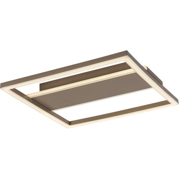 Rabalux - стельовий світильник LED/24Вт/230В 33x33 см
