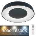 Rabalux - Стельовий LED світильник з регулюванням яскравості LED/38W/230V чорний + ДК 3000-6500K