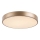 Rabalux - Светильник потолочный LED/36Вт/230В 3000К
