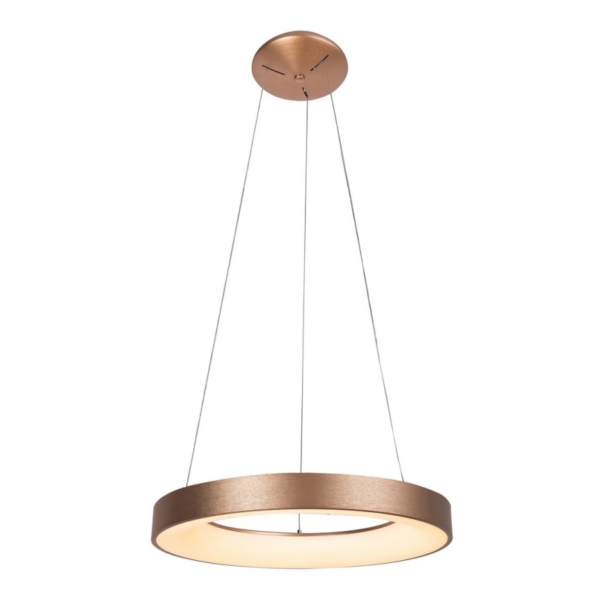 Rabalux - Светодиодная люстра на тросе CARMELLA LED/80W/230V